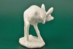 figurine, Deer-cub, porcelain, Riga (Latvia), USSR, sculpture's work, the 50ies of 20th cent., 8 x 1...
