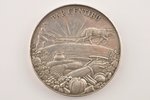 table medal, For diligence, ministry of agriculture, silver, Latvia, 20-30ies of 20th cent., 60x5 mm...