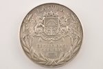 table medal, For diligence, ministry of agriculture, silver, Latvia, 20-30ies of 20th cent., 60x5 mm...
