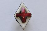 знак, Красный Крест, Латвия, 20е-30е годы 20го века, 37x24 мм...