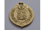 badge, The President of the District Court, Russia, 1899, 54x45 mm...