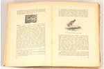 prof. Dr. rer.for. A.Kalniņš, "Medniecība", mednieka rokas grāmata, 1943 г., Latvju kultūra, Рига, 7...