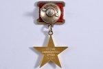 medal, Hero Of Socialist Labor, silver, gold, USSR, 60-80ies of 20 cent., 33.5 mm, 24.75 g...