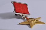 медаль, Герой Социалистического Труда, серебро, золото, СССР, 60е-80е годы 20-го века, 33.5 мм, 24.7...