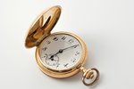 карманные часы, Германия, 20-е годы 20го века, золото, 585 проба, 28.65 (общий) г, ~10 (золото) г, Ø...