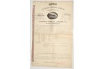 the policy of the First Russian Insurance Company (№ 2073423), 1902, 49.3 x 30.1 cm...