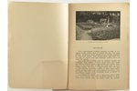 V.Nesaule, "Mājas apkārtnes izdaiļošana", iekārtojums, ierīkošana, noderīgie augi un kopšana, 1936,...
