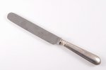 knife, silver, blade (steel) - Varipayev Brothers, 84 standart, 1888, (item's weight) 149.25 g, N. Y...