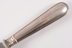 knife, silver, blade (steel) - Varipayev Brothers, 84 standart, 1888, (item's weight) 149.25 g, N. Y...