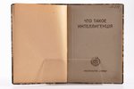 Иванов-Разумник, "Что такое интеллигенцiя", 1920, издательство "Скифы", Berlin, 30 pages, stamps...