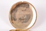 карманные часы, "Longines", Швейцария, начало 20-го века, золото, 56 проба, (общий) 48.90, 5.4 x 4.6...