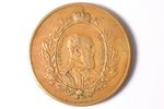 medaļa, Imperators Aleksandrs III, 1882. gada Viskrievijas izstādes Maskavā piemiņai, bronza, Krievi...