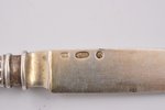 fruit knife, silver, 84 standard, 32.30 g, 16.8 cm, 1908, Kharkov, Russia...
