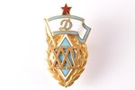 badge, 25th anniversary of the sports society "Dinamo", USSR, 60-70ies of 20 cent., 35.4 x 20.2 mm,...