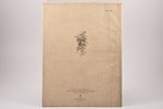 "Новый Огонек", № 1 - 2 (из 3-х изданных), edited by А. Г. Орнтлих, 1923, Dr. Selle & Co A.-G., Berl...