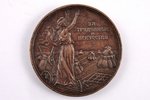 medal, For diligence and art, Millerov Agricultural Society of the Province of the Don Войска Донско...