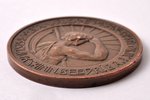 table medal, Ramka Agriculture Society, Latvia, Russia, beginning of 20th cent., Ø 42.2 mm, 31.75 g...