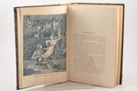 Эдуард Фукс, "Иллюстрированная исторiя нравовъ", том III, Буржуазный век, 1913 г., книгоиздательство...