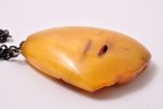 a pendant, 19.85 g., the item's dimensions 5.4 x 4.65 x 1.4 cm, amber, Latvia...