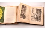 "Вестник Императорскаго общества садоводства", 1877 г; № 1-8 (январь-декабрь), "Вестник садоводства,...