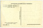 postcard, Lithuania, 20-30ties of 20th cent., 14,2x9,2 cm...