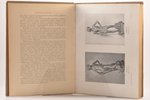 Генрих Вельфлин, "Классическое искусство", введение в изучение итальянского возрождения, 1912 g., Бр...