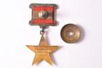 medaļa, Sociālistiskā Darba Varonis, Nr. 13859, ar apliecību, futlārī, zelts, PSRS, 1971 g., 33.5 x...