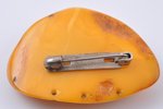 a brooch, 11.85 g., the item's dimensions 4.8 x 3.4 x 1.1 cm, amber...