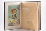 проф. К. Келлер, "Жизнь моря, животный и растительный мир моря, его жизнь и взаимоотношения", 1897,...
