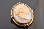 a brooch, cameo, gold, 56 standard, 19.00 g., the item's dimensions 4.8 x 4 cm, the beginning of the...