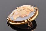 a brooch, cameo, gold, 56 standard, 19.00 g., the item's dimensions 4.8 x 4 cm, the beginning of the...
