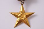medaļa, Sociālistiskā Darba Varonis, Nr. 17928, zelts, PSRS, 34 x 32.5 mm, 14.65 g...
