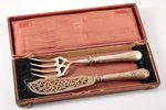 flatware set,  metal, silver, in a case, 950 standart, the beginning of the 20th cent., (total) 305....