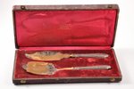 flatware set, metal, silver, in an original case, 950 standart, the beginning of the 20th cent., (to...
