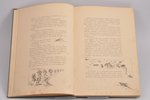 Н. Н. Каразин, "Мои сказки", с иллюстрациями автора, 1895 g., изданiе А.Ф. Деврiена, Sanktpēterburga...