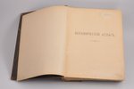 К. Гофман, "Ботанический атлас по системе Де-Кандоля", edited by Н. А. Монтеверде, 1899, изданiе А.Ф...