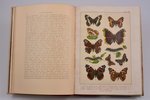 Д-р Ф. Борециус, "Бабочки Европы", redakcija: Проф. В.М. Шимкевич, 1912 g., изданiе т-ва  М.О. Вольф...