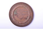 table medal, Imperial Russian Society of Agricultural Poultry, bronze, Russia, Ø 41.5 mm, 28.6 g...