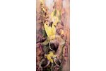 Rožlapa Dailis (1932-2015), Īrisi, 2000 g., kartons, eļļa, 60 x 29.7 cm...