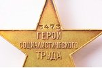 medaļa, Sociālistiskā Darba Varonis, Nr. 5473, zelts, PSRS, 32.8 x 31.2 mm, 16. 91 g, stars iezāģēts...