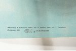Maskava 80, olimpiskās spēles, 1980 g., papīrs, ofsetspiedums, 86.2 x 57.2 cm, māksliniece - D. Alek...