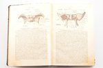 "Атлас по анатомии человека", sakopojis Вернер Шпальтегольц, 1912, 1917 g., типо-литография т-ва И.Н...