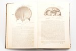 "Атлас по анатомии человека", составил Вернер Шпальтегольц, 1912, 1917 г., типо-литография т-ва И.Н....