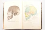 "Атлас по анатомии человека", составил Вернер Шпальтегольц, 1912, 1917 г., типо-литография т-ва И.Н....