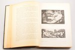 Генрих Вельфлин, "Классическое искусство", Введение в изучение итальянского Возрождения, 1912, Брокг...