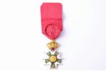 знак, Ордена Почётного легиона, офицерский, золото, Франция, 1848-1870 г., 61.8 x 41.3 мм, период На...