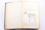 Л. Франк, "Руководство к анатомии домашних животных, главным образом лошади", Части 1 и 2, 1890 g.,...