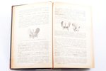 Л. Франк, "Руководство к анатомии домашних животных, главным образом лошади", Части 1 и 2, 1890, тип...