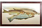 Chaimowitsch G.A., Fishes, 60.7 x 35.6 cm, Saint Petersburg, Reproduction on metal...