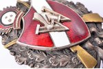 знак, 4-й Валмиерский пехотный полк, Латвия, 30-е годы 20-го века, 48.9 x 34.3 мм...